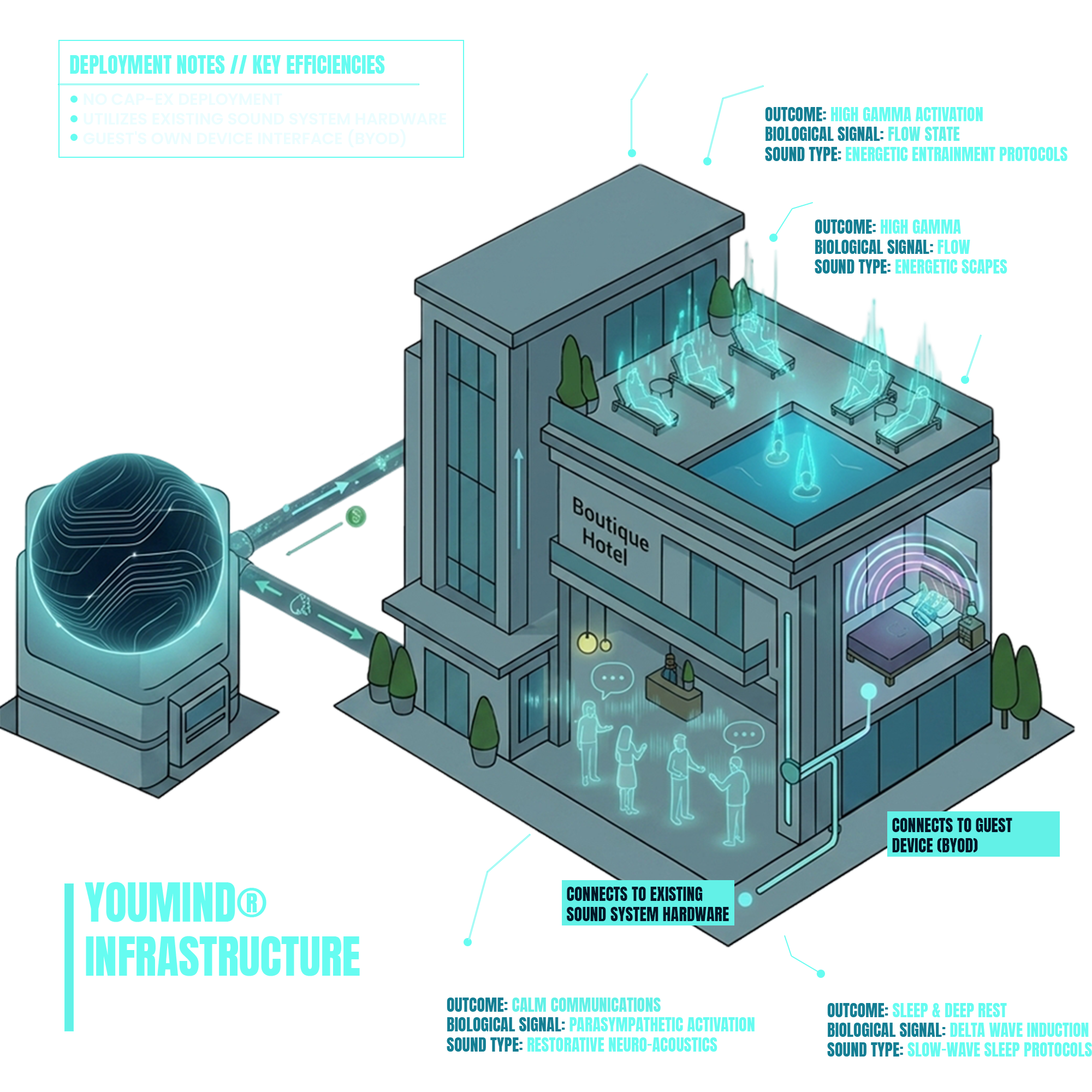 Organizational Information